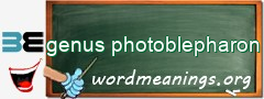 WordMeaning blackboard for genus photoblepharon